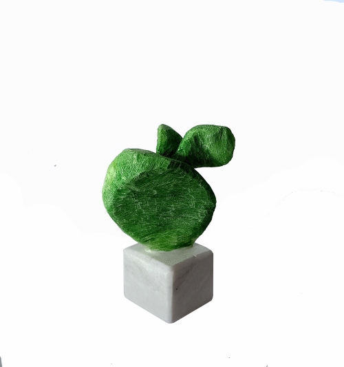 : Kaktus 15