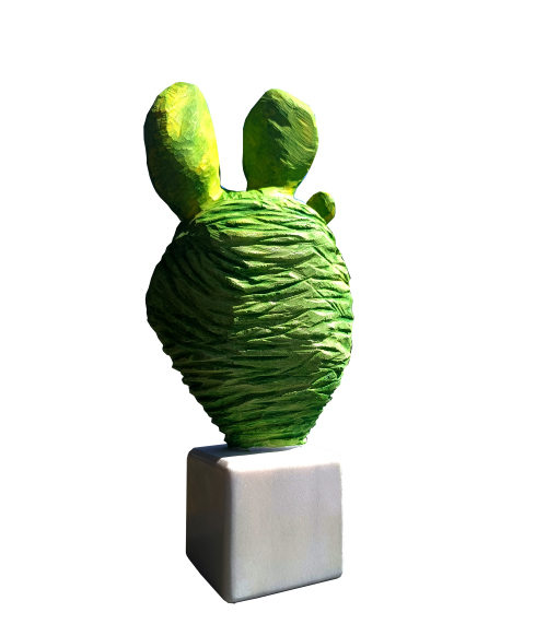 : Kaktus