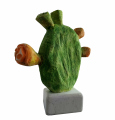 : Kaktus