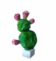 : Kaktus